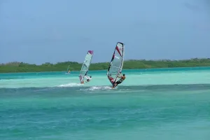 bonaire_windsurf bonaire_windsurf