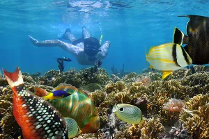 snorkeling-lg
